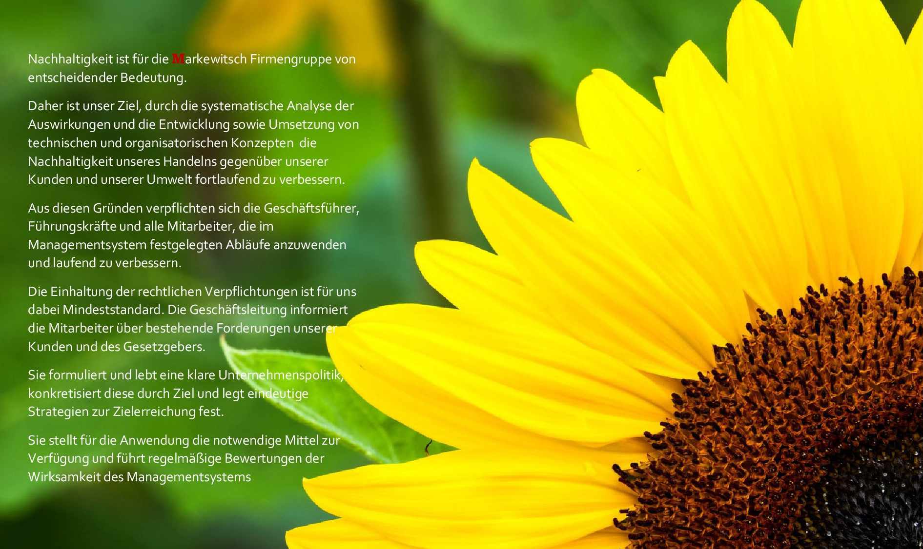 Nachhaltigkeit in der Markewitsch Firmengruppe: Unternehmenspolitik vor einer Sonnenblume
